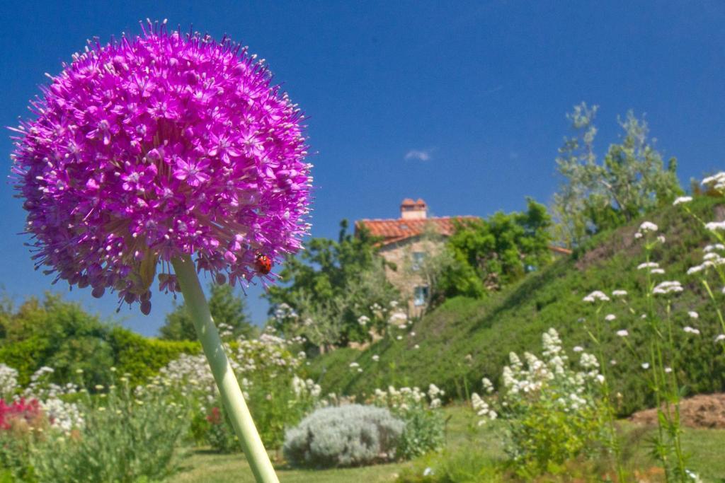 Odina Agriturismo Лоро-Чьюффенна Екстер'єр фото